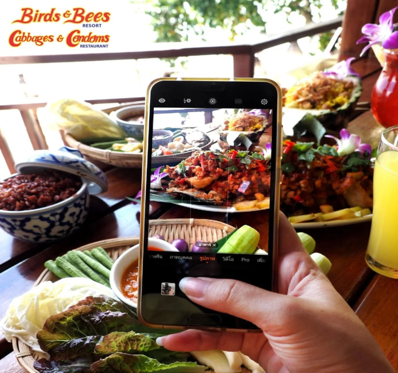 Birds and Bees Resort