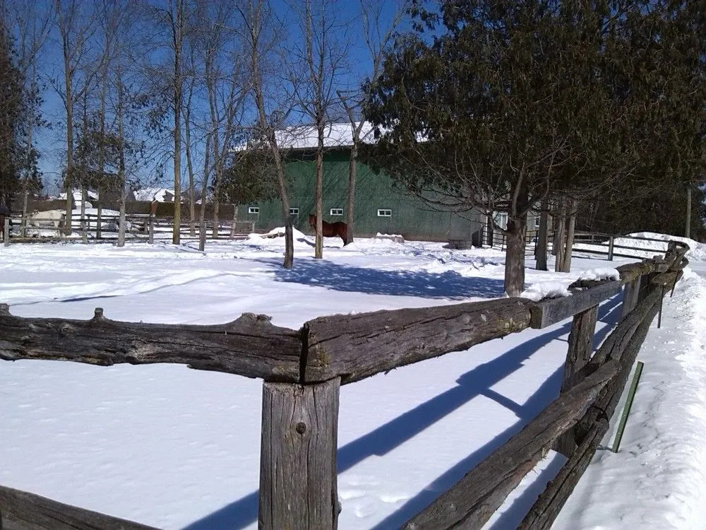 Country View Manor