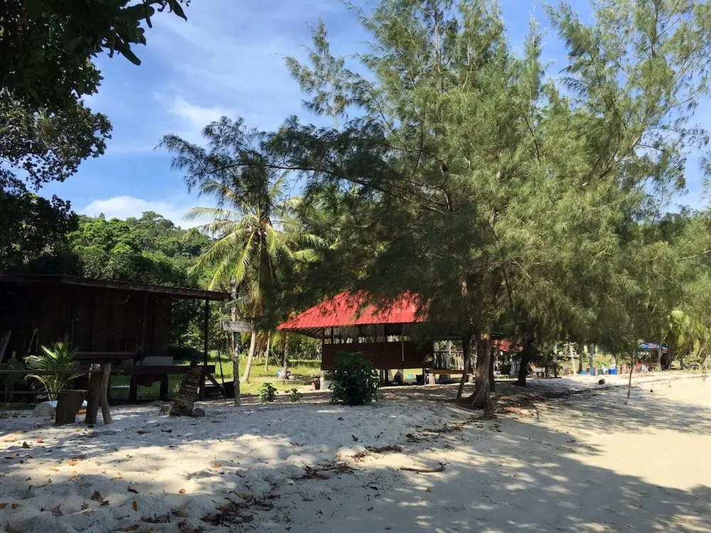 Wild Pasir Panjang