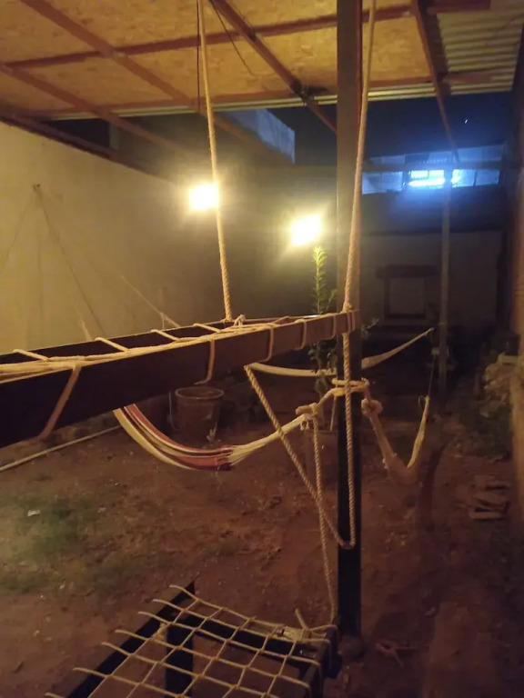 Iguana Coliving