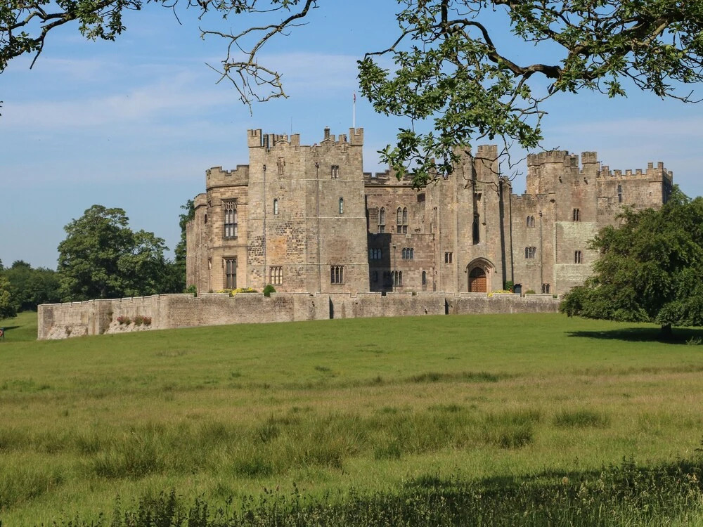 Thistle Close