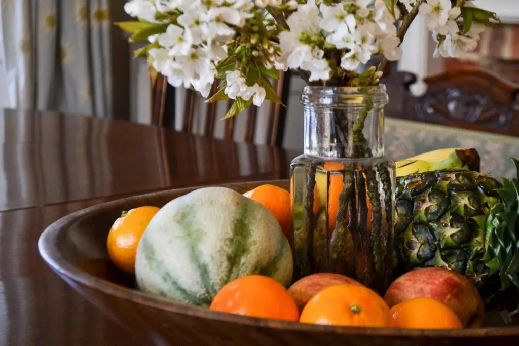 Sankence lodge B&B