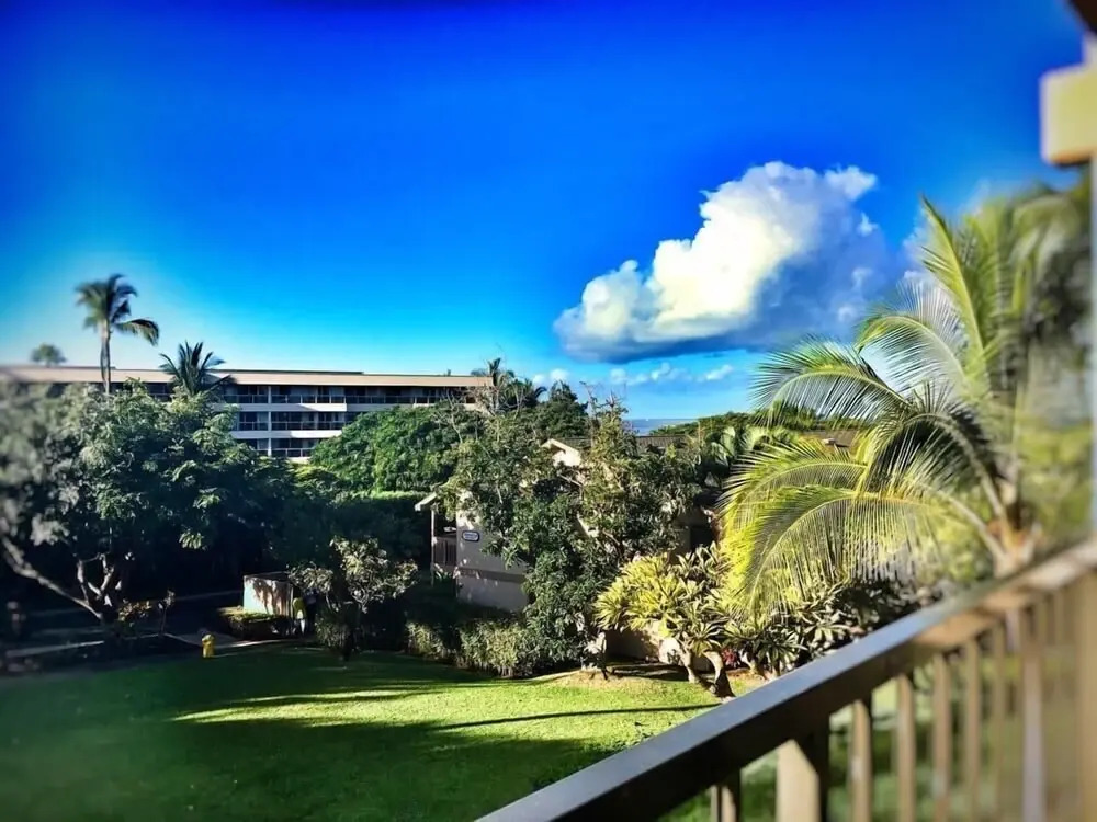 Amazing Luxury Beach Condo South Kihei