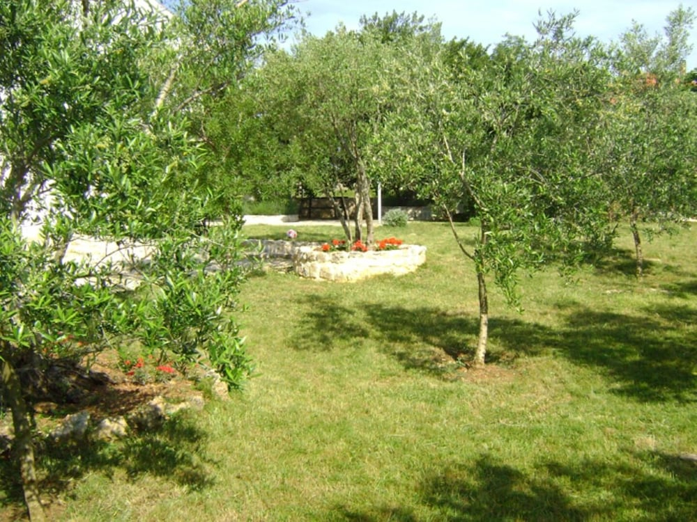 Apartments Suzana