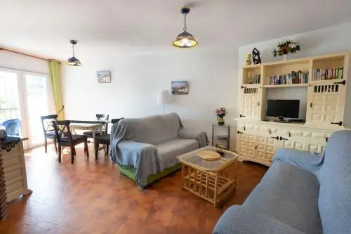 Palmeras 6 Menyber