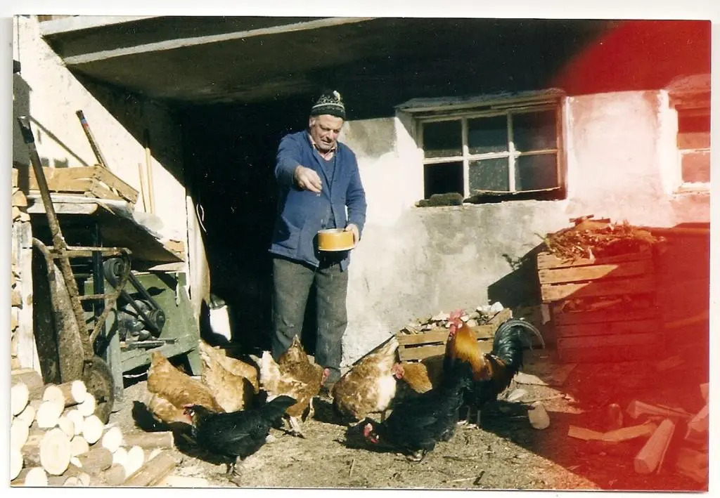 Majon de la nona