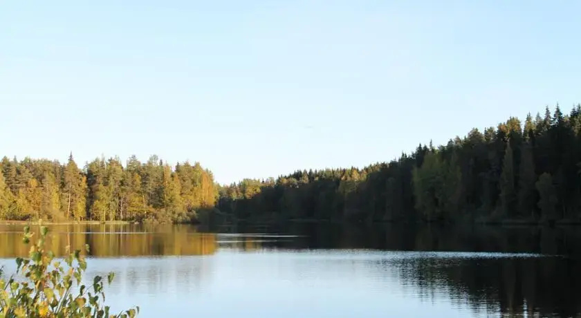 Liukonpellon Luomutila