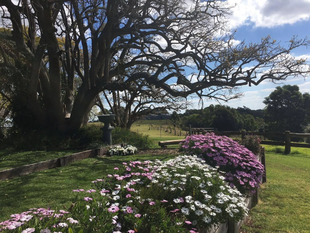 Hillview Cottages