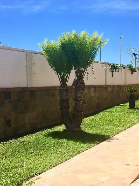 Bungalow Paraiso El Mar 3