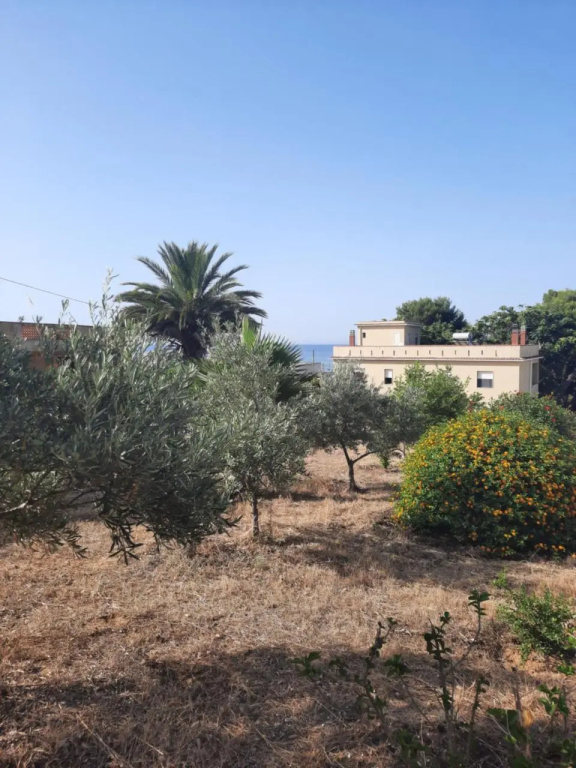 Mediterraneo