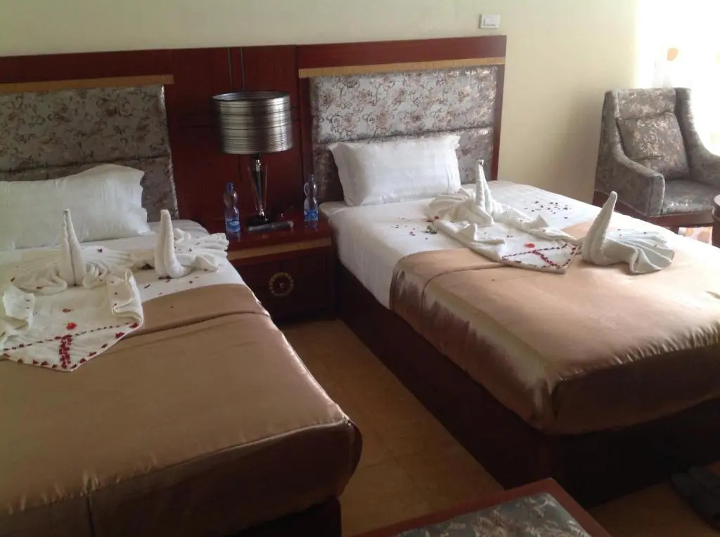 PALM PALACE Best BUDGET HOTEL & TOUR Options s