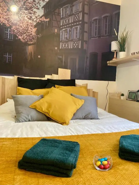 * Le Garden * Studio * Centre-ville Mulhouse