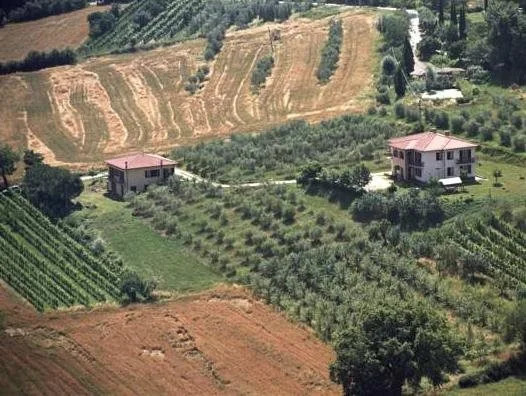 B&B Il Girasole