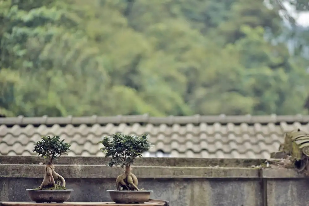Zhangjiajie One city one inn