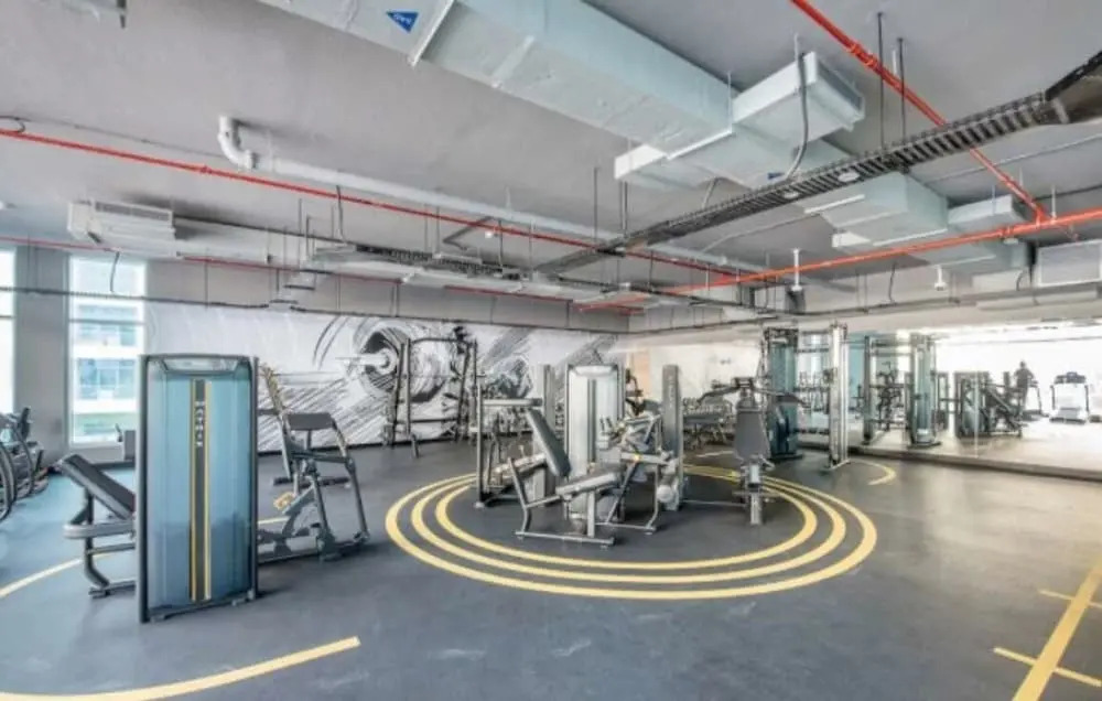 Studio With Best View Of Dubai