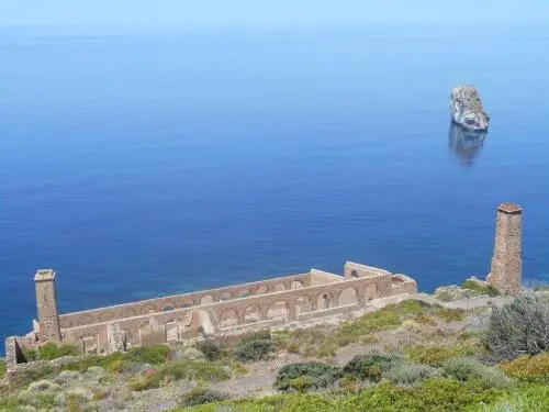 Casa Flavia