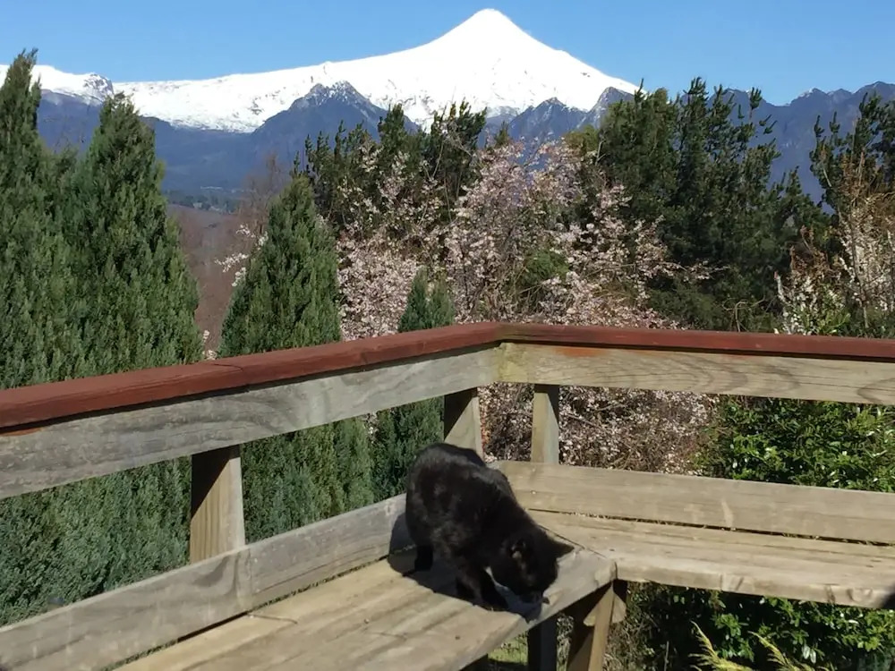 Cabañas en pucon