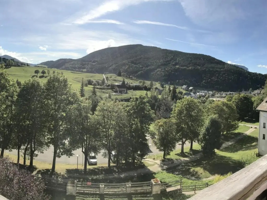 Appartement Villard-de-Lans, 2 pièces, 4 personnes - FR-1-515-47