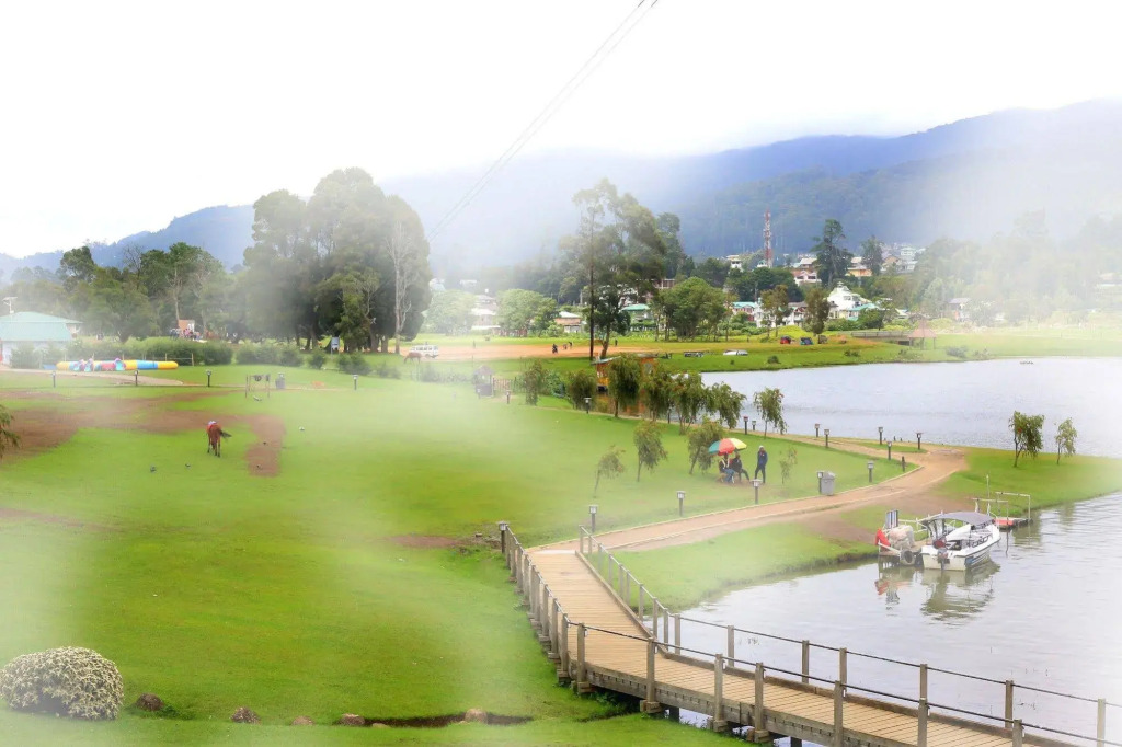 Royal Pearl Hills  Ltd