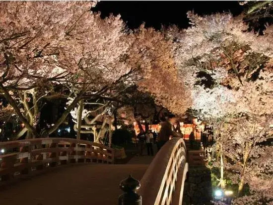 Takato Sakura Hotel