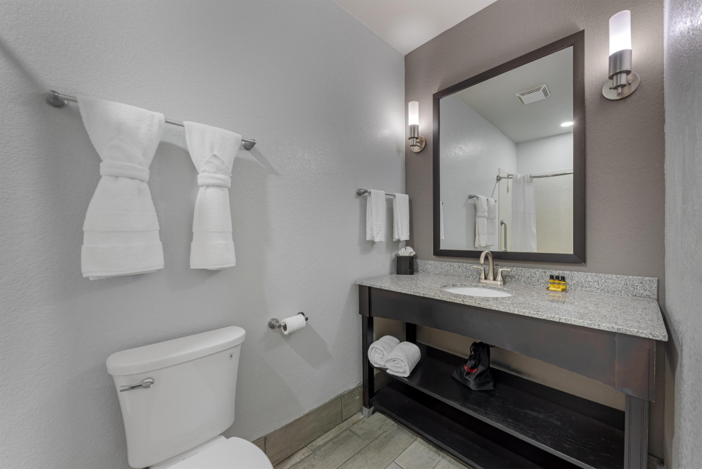 Best Western Plus Austin Airport Inn & Suites