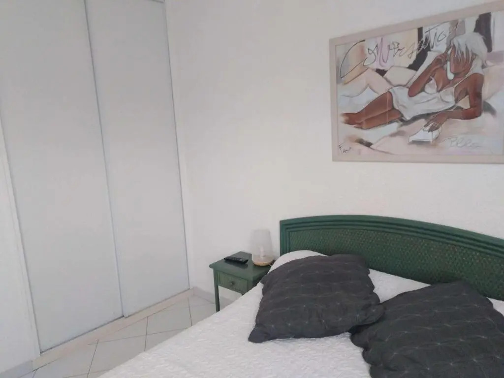 Appartement Cap d'Agde, 2 pièces, 4 personnes - FR-1-607-116