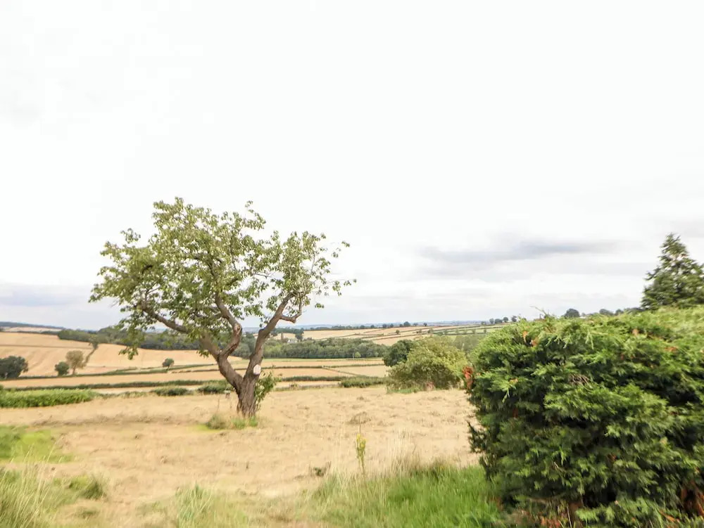 Smithy Cottage