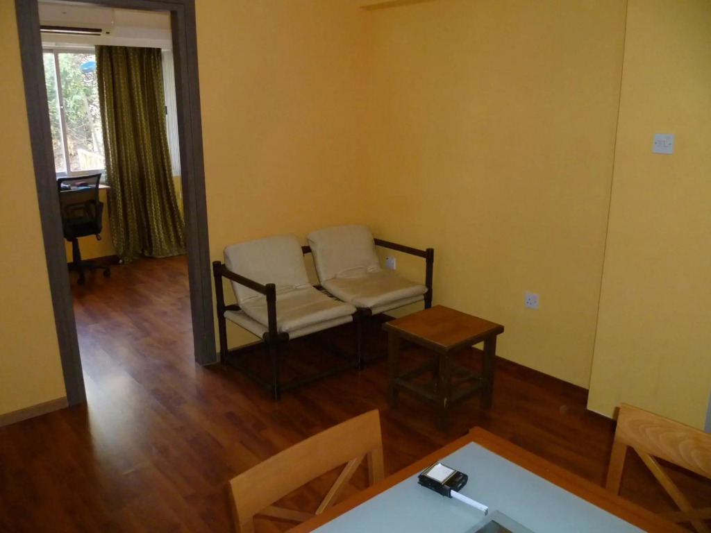 City center private 2 bedroom flat - Dimofontos