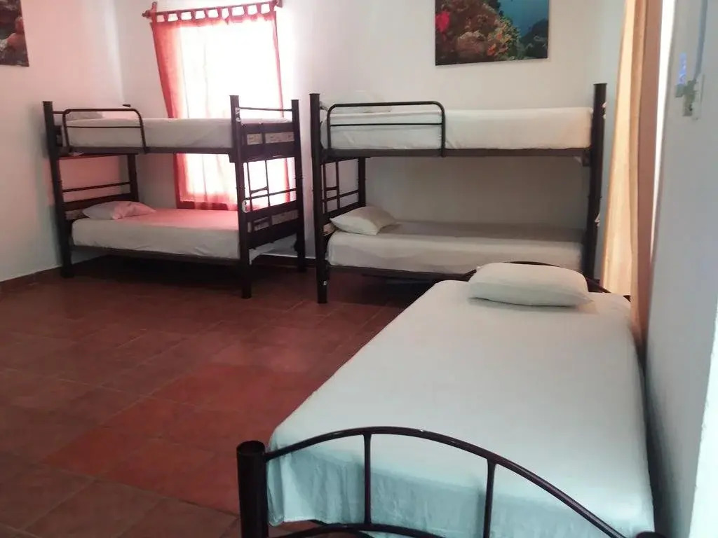 Loft 10 Hostel