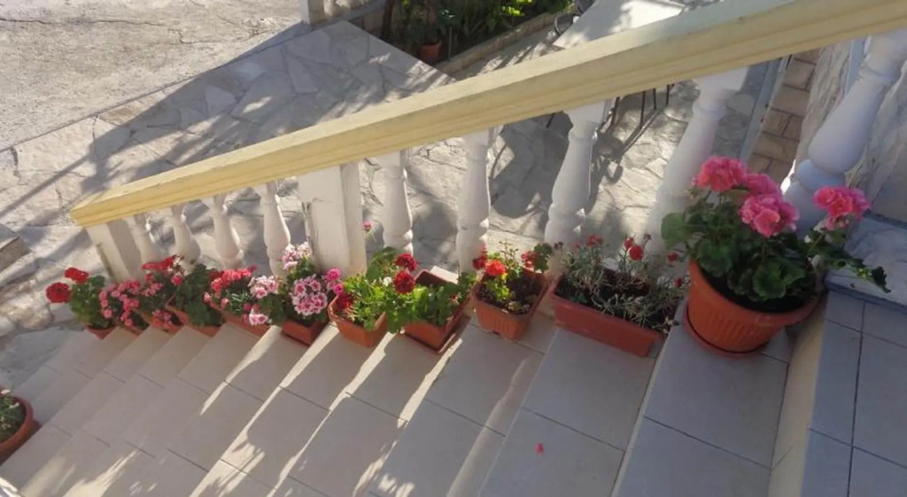 Apartments Ivana