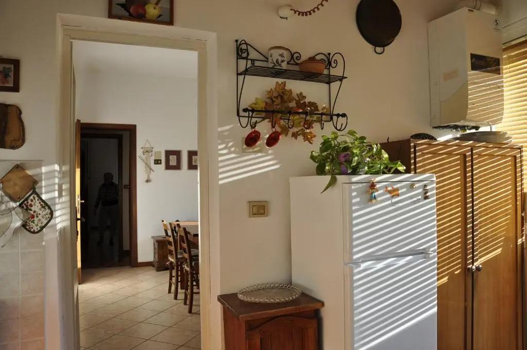 Casa dellulivo