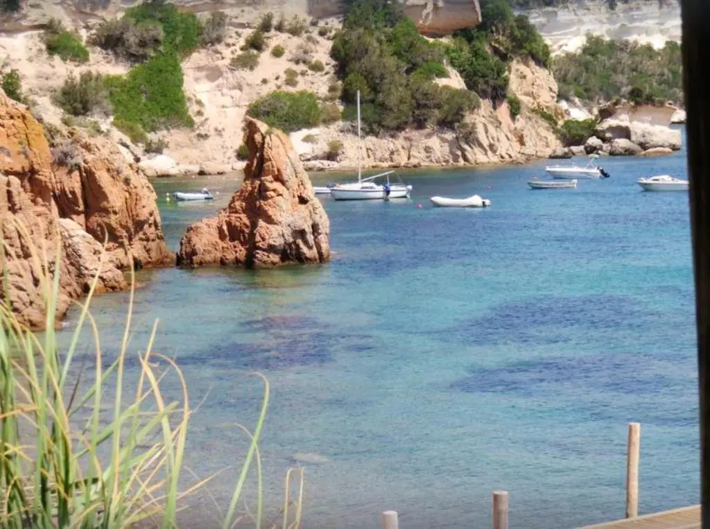 Maison de 3 chambres avec piscine partagee jardin amenage et wifi a Lecci a 1 km de la plage