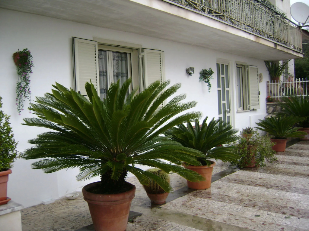 Camere "Riviera di Ulisse"