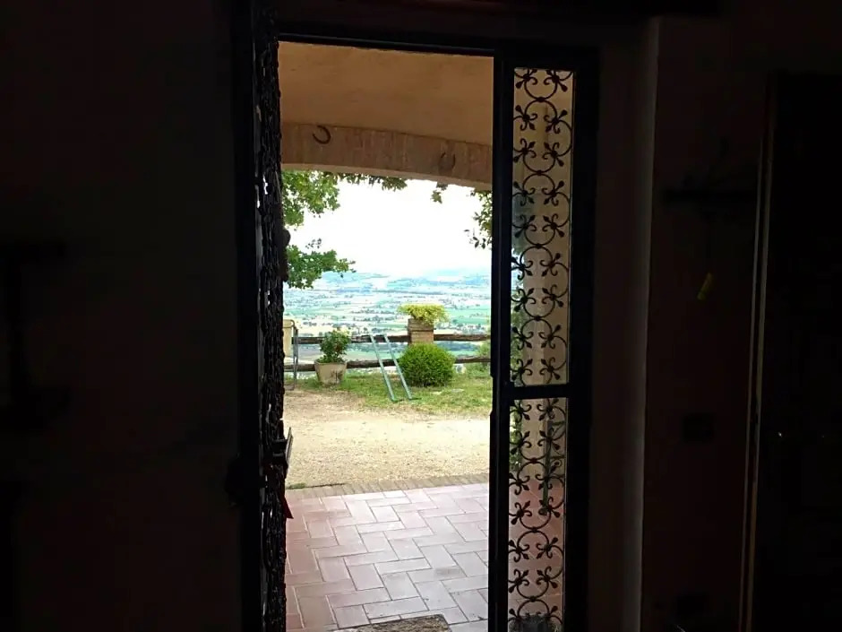 B&B Belvedere