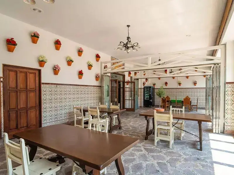 Oliva Rooms 3000