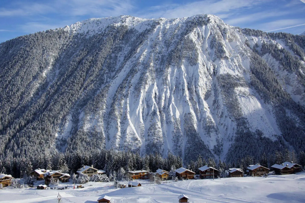 Chalet Artemisia