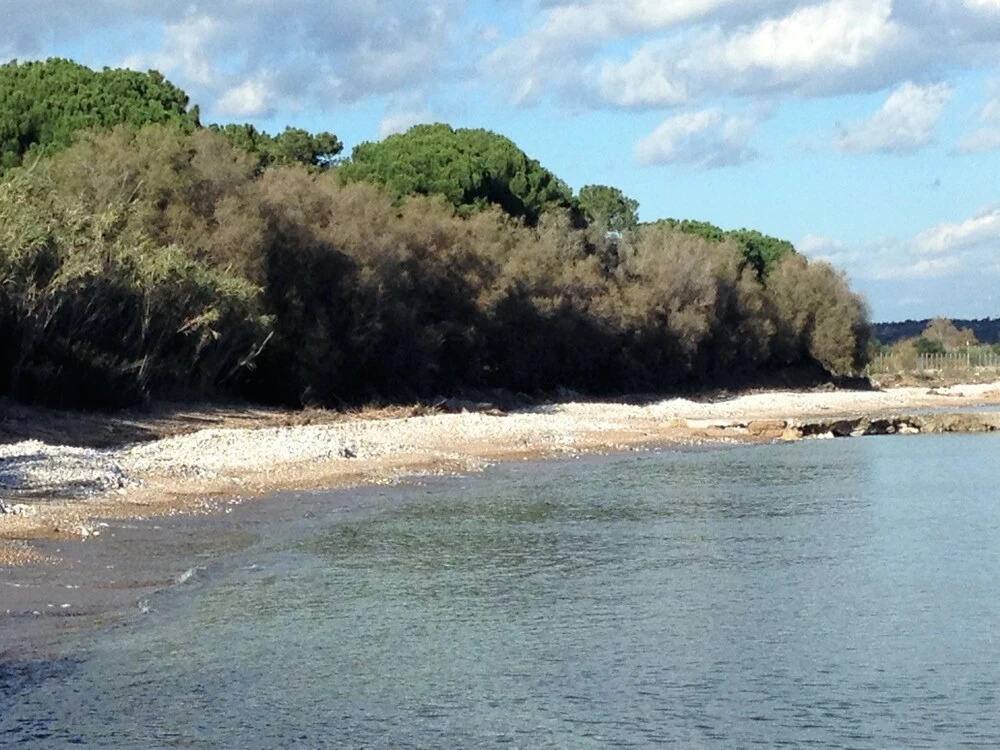 Private Beach Olive Grove and Villa