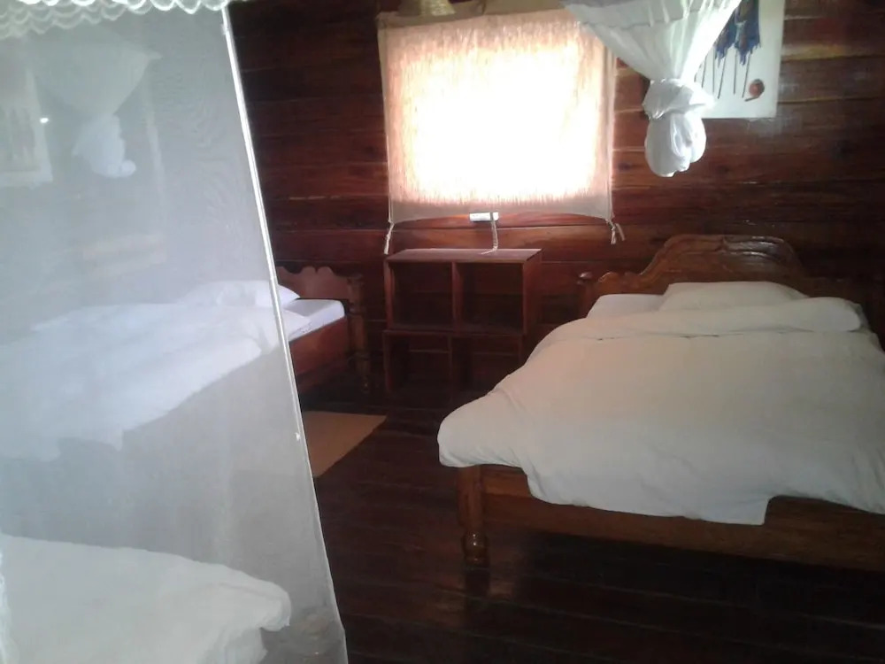 Ikoma Safari Camp