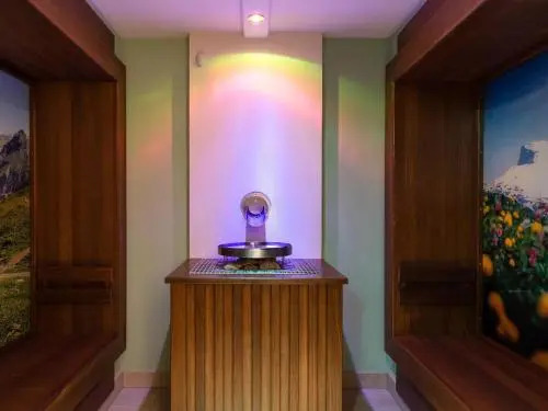 Apartment TITLIS Resort Studio 214