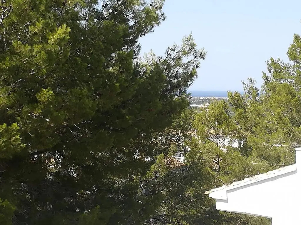 Buganvilla 203