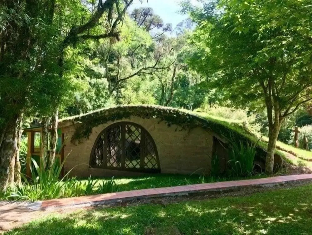 Cogumelos Montanhês