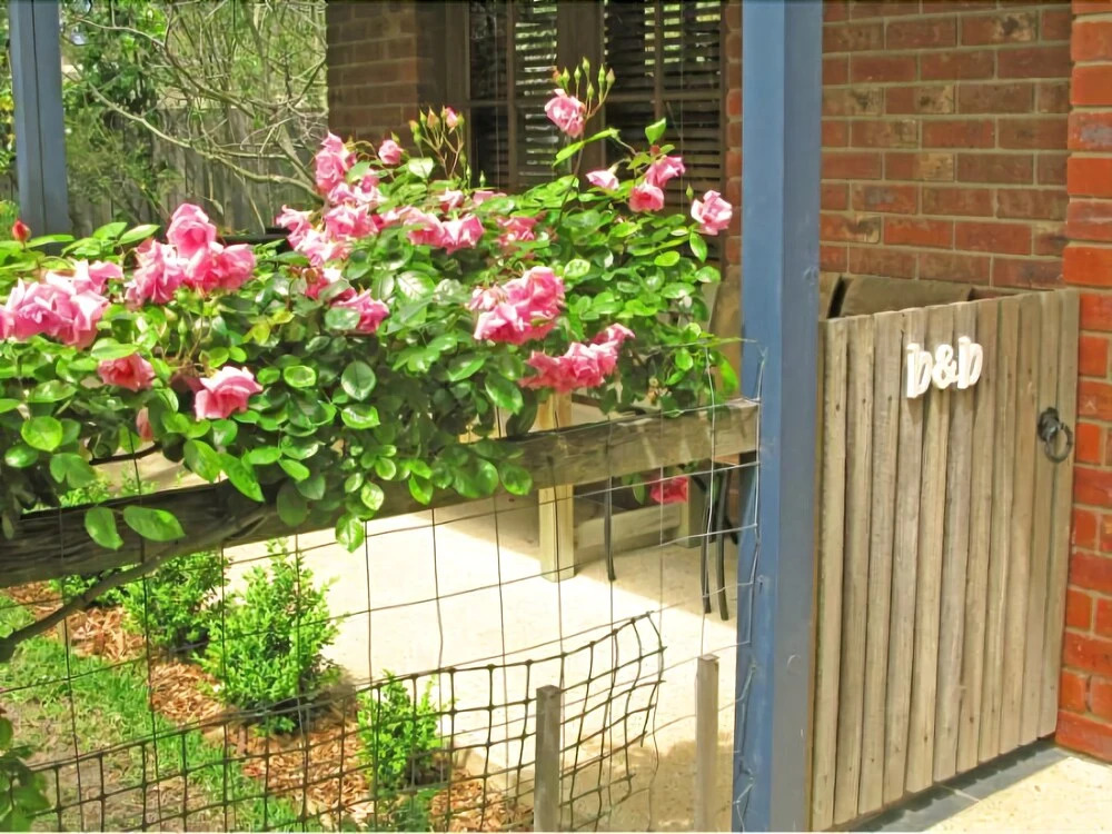 Roseneath Villa B&B