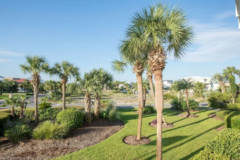 Dolphin Point 202A - 2 Br Condo