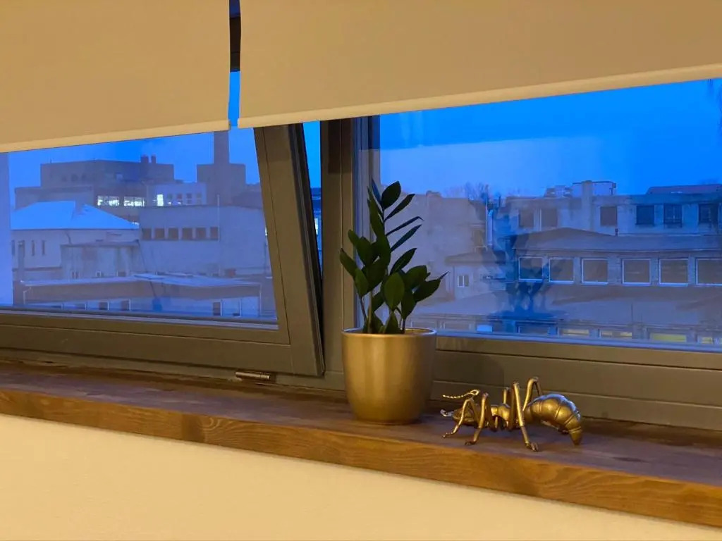 Filosoofi 1 Studio Apartments