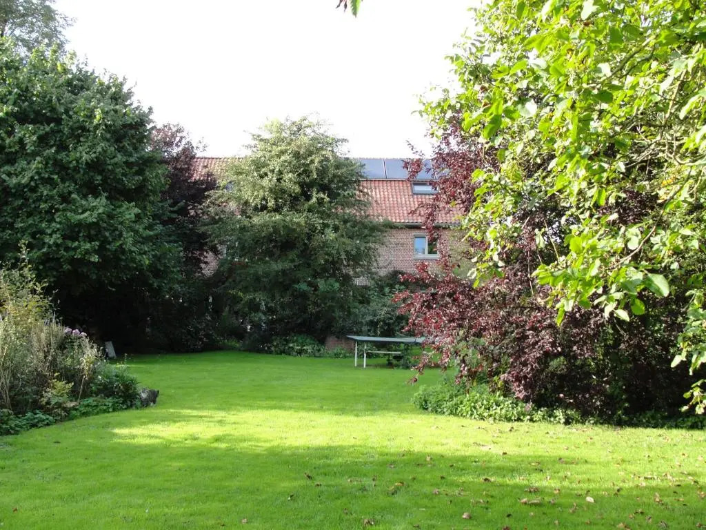 B&B Hedera