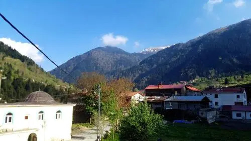 Talipoğlu Apart