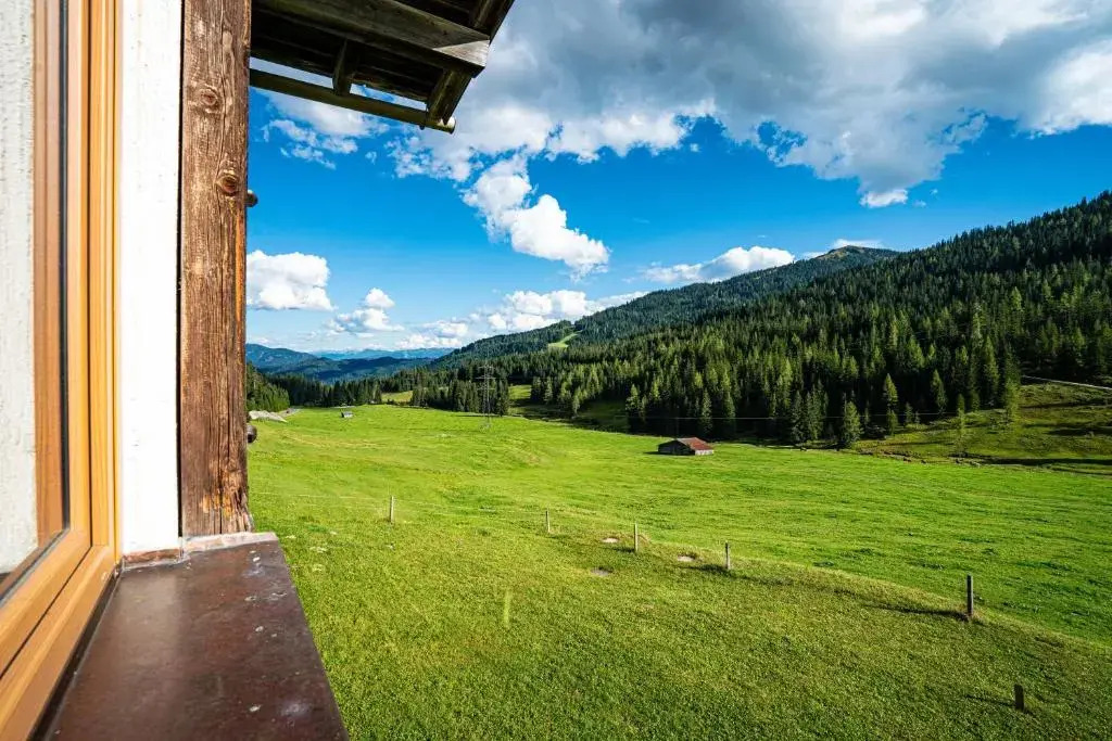 Mittereggalm