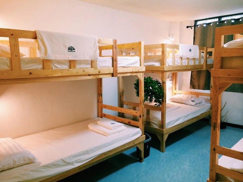 Tree Hostel Bangkok