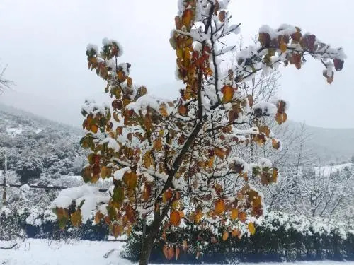 Chalet 1 Bedroom 1 Bathroom - Kalavryta