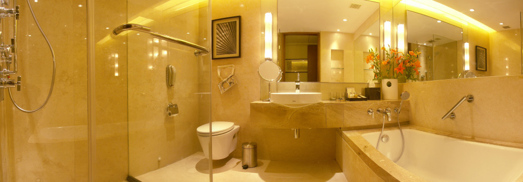 Taj Coromandel